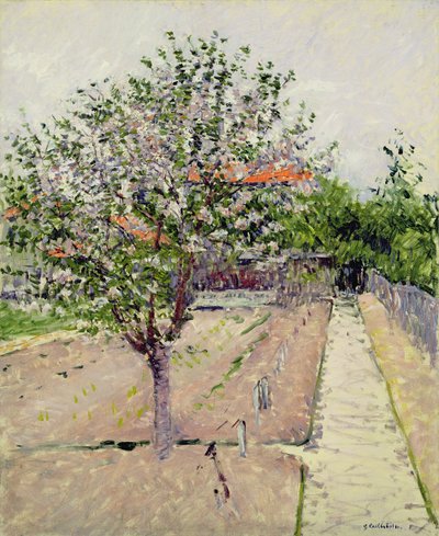 Almafa virágban, 1885 körül alkotó: Gustave Caillebotte