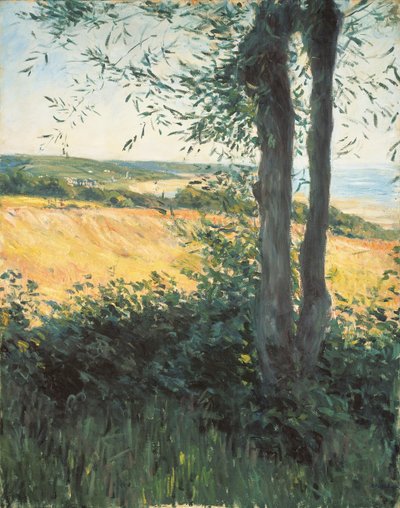 A tenger mellett, Normandia, 1884 alkotó: Gustave Caillebotte