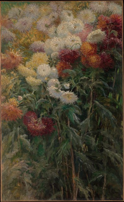 Krizantémok a Petit-Gennevilliers-i kertben alkotó: Gustave Caillebotte