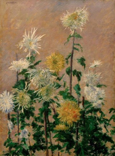 Fehér és sárga krizantém alkotó: Gustave Caillebotte
