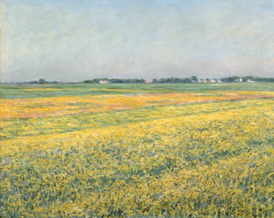 Gennevilliers síksága, Yellow Fields; Gennevilliers síksága, sárga mezők, 1884 alkotó: Gustave Caillebotte
