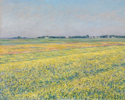 A Gennevilliers-i síkság, sárga mezők alkotó: Gustave Caillebotte