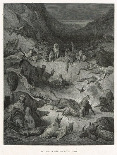 A pestisben megbetegedett állatok alkotó: Gustave Dore