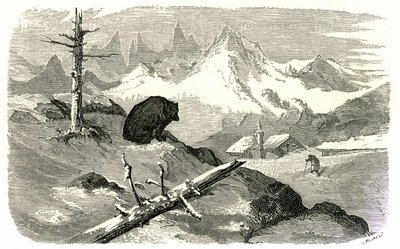 Gustave Dore metszete az "Voyage aux Pyrenees d