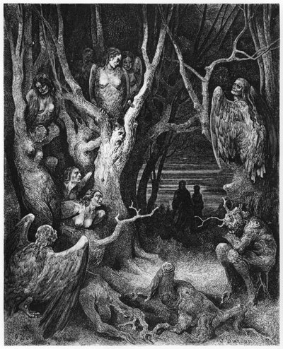 Hárpiák, illusztráció Dante Alighieri (1265-1321) Párizs "Isteni színjátékából" (Inferno), 1885-ben alkotó: Gustave Dore