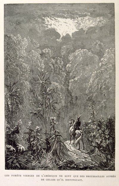 Amerikai erdő illusztrációja. a La legende de Croque-Mitaine című kötetből. alkotó: Gustave Dore