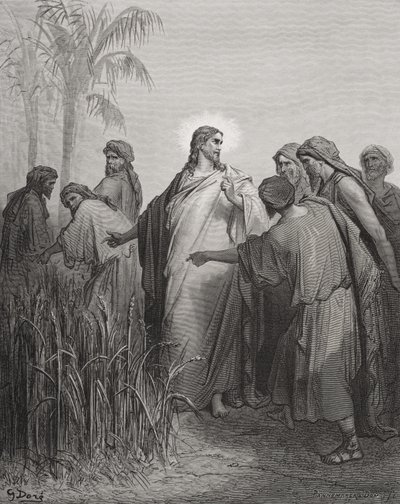 Jézus és tanítványai a kukoricatáblán, illusztráció Dore „The Holy Bible” című könyvéből, Pannemaker metszete, 1866 alkotó: Gustave Dore