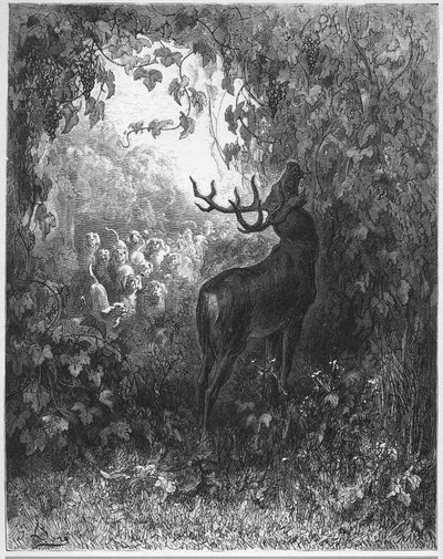A SZARVASZ ÉS A SZŐLŐ - A szarvas és a szőlő - Jean de La Fontaine meséiből alkotó: Gustave Dore