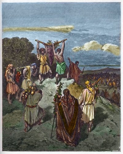Visszatérés Kánaán földjéről - Josue és Caleb visszatérése egy hatalmas szőlőfürttel Kánaán földjéről (Ígéret Földje) - - Gustave Dore (1832-1883) „The Bible Illustree”-be vésve - Metszet a „”-ről A Dore Biblia” alkotó: Gustave Dore