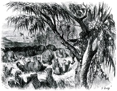 Szindbád a tengerész (Szindbád) - Az ezeregy (1001) éjszaka története - Gustave Dore illusztrációja - Maxwell kiadás 1865 - Hetedik utazás: Szindbád, egy fán ülve, íjával elefántokat ránt alkotó: Gustave Dore