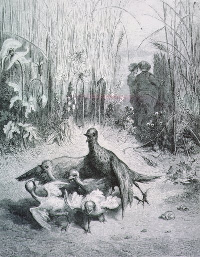 A pacsirta meséje, fiataljai és a pálya mestere, illusztráció a La Fontaine meséihez rnrn alkotó: Gustave Dore