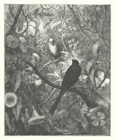 La Fontaine meséi: Philomel és Progne (metszet) alkotó: Gustave Dore