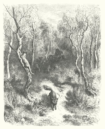La Fontaine meséi: Fontaine: A macska és a róka (metszet). alkotó: Gustave Dore