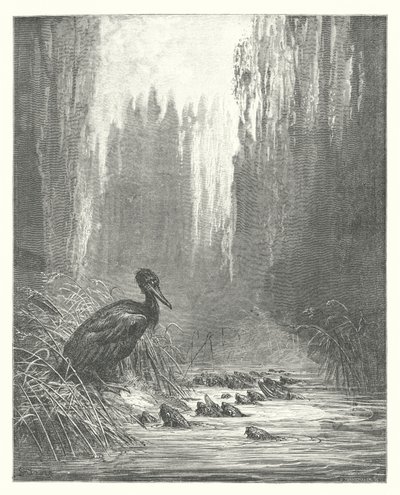 La Fontaine meséi: Fontaine: A kormorán és a halak (metszet). alkotó: Gustave Dore