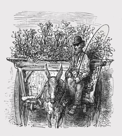 "The Flower Hawker", 1872. alkotó: Gustave Dore