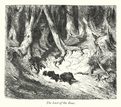 Az utolsó vadkan (metszet) alkotó: Gustave Dore