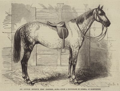 Sir George Browns szürke töltő, Alma alkotó: Gustave Janet