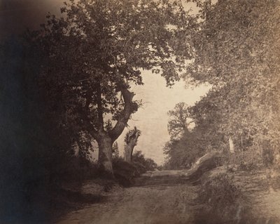 Fontainebleau, homokos ösvény felfelé, kb. 1856. alkotó: Gustave Le Gray