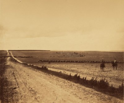 [Manőverek, Camp de Chalons]. alkotó: Gustave Le Gray