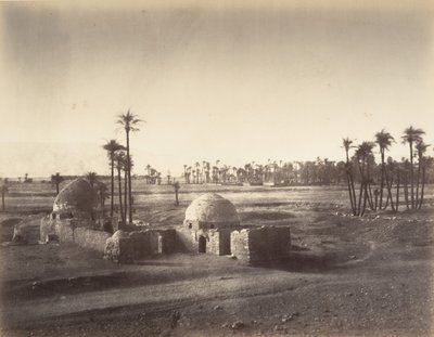 A thébai síkság kilátása a karnaci templomból, 1867. alkotó: Gustave Le Gray