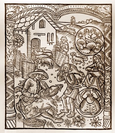 Pásztornaptár – A hónapok munkája – június – Guy Marchant (Guido Mercator) által Troyes-ban nyomtatott 1496-os könyvből fametszet – Fametszet a „Le grand Calendrier et compost des shepherds”-ben” alkotó: Guy Marchant