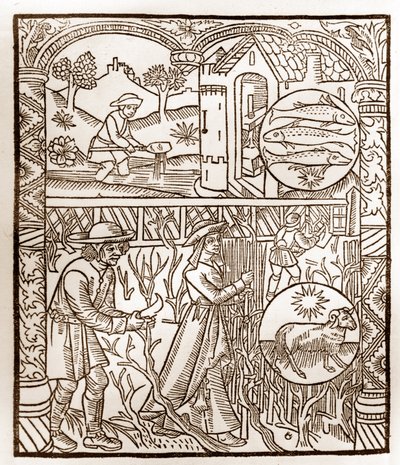 Pásztornaptár - A hónapok munkája - március - Fametszet a Guy Marchant (Guido Mercator) által Troyes-ban nyomtatott 1496-os könyvből - Fametszet a „Le grand Calendrier et compost des shepherds”-ben - alkotó: Guy Marchant