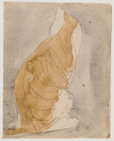 Macskatanulmány (akvarell és ceruza, papír) alkotó: Gwen John
