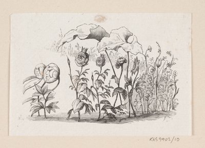 Illusztráció a "Den lille Idas Blomster" című filmhez, H.C. Andersen, "Tündérmesék és történetek", 1. kötet alkotó: H.P. Hansen