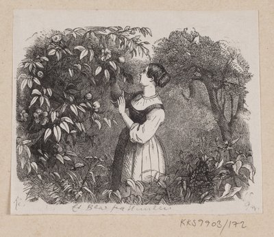Illusztráció az "A Leaf from Heaven" című filmhez, H.C. Andersen, "Tündérmesék és történetek", 2. kötet alkotó: H.P. Hansen