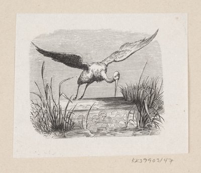Illusztráció a "The Storks"-hoz H.C. Andersen, "Tündérmesék és történetek", 1. kötet alkotó: H.P. Hansen