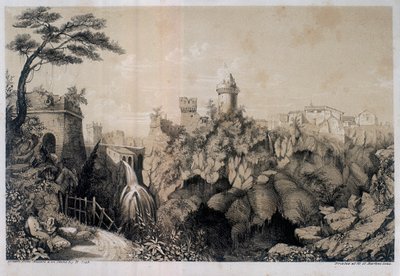 Metszés alkotó: H. R. Cook