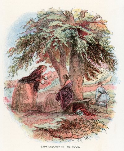 Illusztráció a Bleak House-hoz alkotó: Hablot Knight Browne