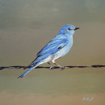 Chipper, 2025 körül (olaj, masonit) alkotó: Hadley Rampton