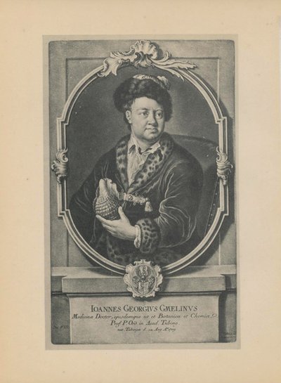 Johann Georg Gmelin természettudós, botanikus és geográfus portréja 1709-1755, XVIII. század közepe. alkotó: Haid