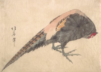 Madár, 1830-as évek. alkotó: Hakusanjin Hokui