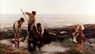 Garnélarák alkotó: Hamilton Macallum