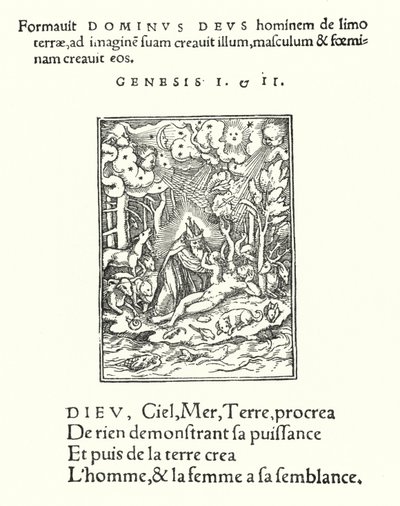 A teremtés (metszet) alkotó: Hans (after) Holbein the Younger
