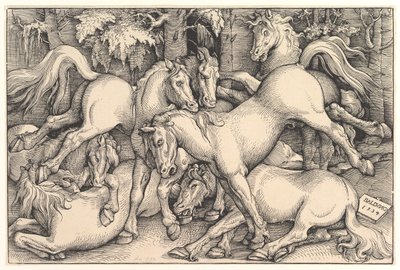 Hét ló csoportja, 1534. alkotó: Hans Baldung