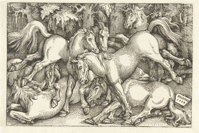 Hét harci lóból álló csoport alkotó: Hans Baldung Grien