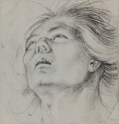 Fiatal férfi feje, alulról nézve alkotó: Hans Baldung Grien