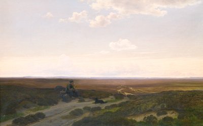 Kilátás Pårup Moors közelében Silkeborg, Jütland alkotó: Hans Friis