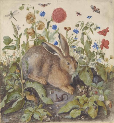 Nyúl a növények között, 1582 alkotó: Hans Hoffmann
