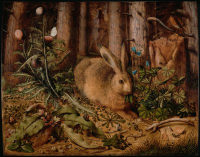 Nyúl az erdőben, 1585 körül alkotó: Hans Hoffmann