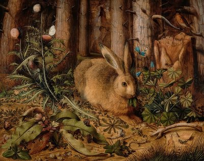 Nyúl az erdőben. 1585 körül alkotó: Hans Hoffmann