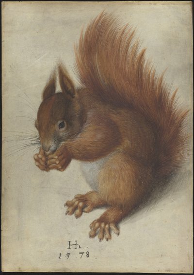Vörös Mókus alkotó: Hans Hoffmann