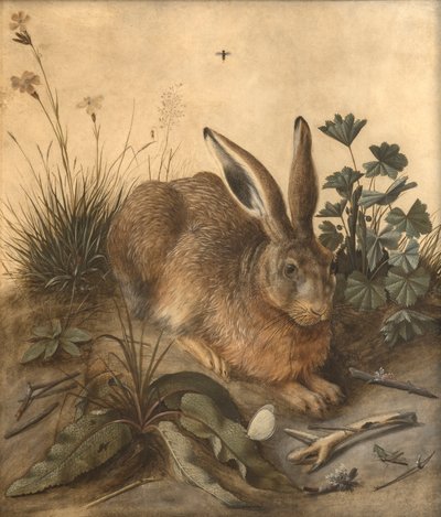 A nyúl alkotó: Hans Hoffmann