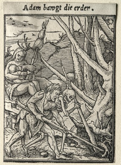 Haláltánc: Ádám földet művel. alkotó: Hans Holbein