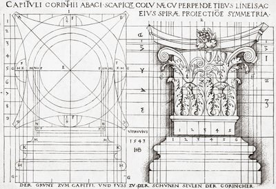A korinthoszi tőke keresztmetszete és arányos rajza alkotó: Hans Sebald Beham