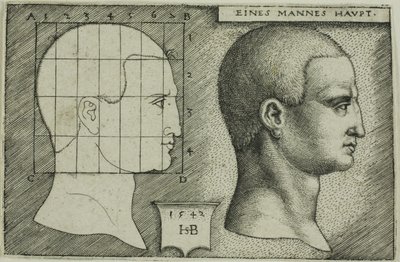 Profil Tanulmány az ember fejéről alkotó: Hans Sebald Beham