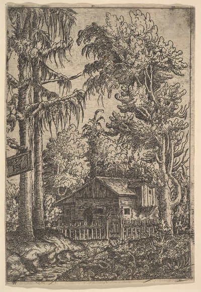 Kunyhó fák között, 1551. alkotó: Hans Sebald Lautensack